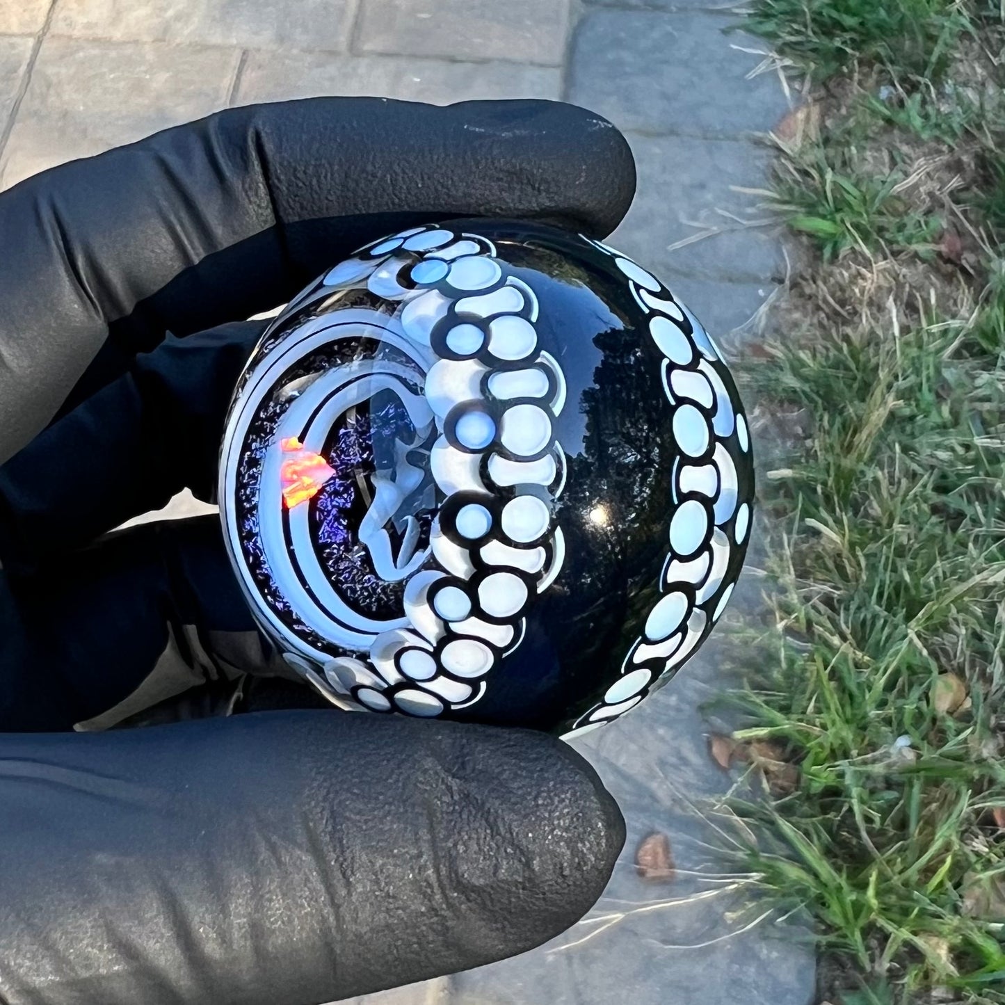 Black and White Opal Eater Cave Marble