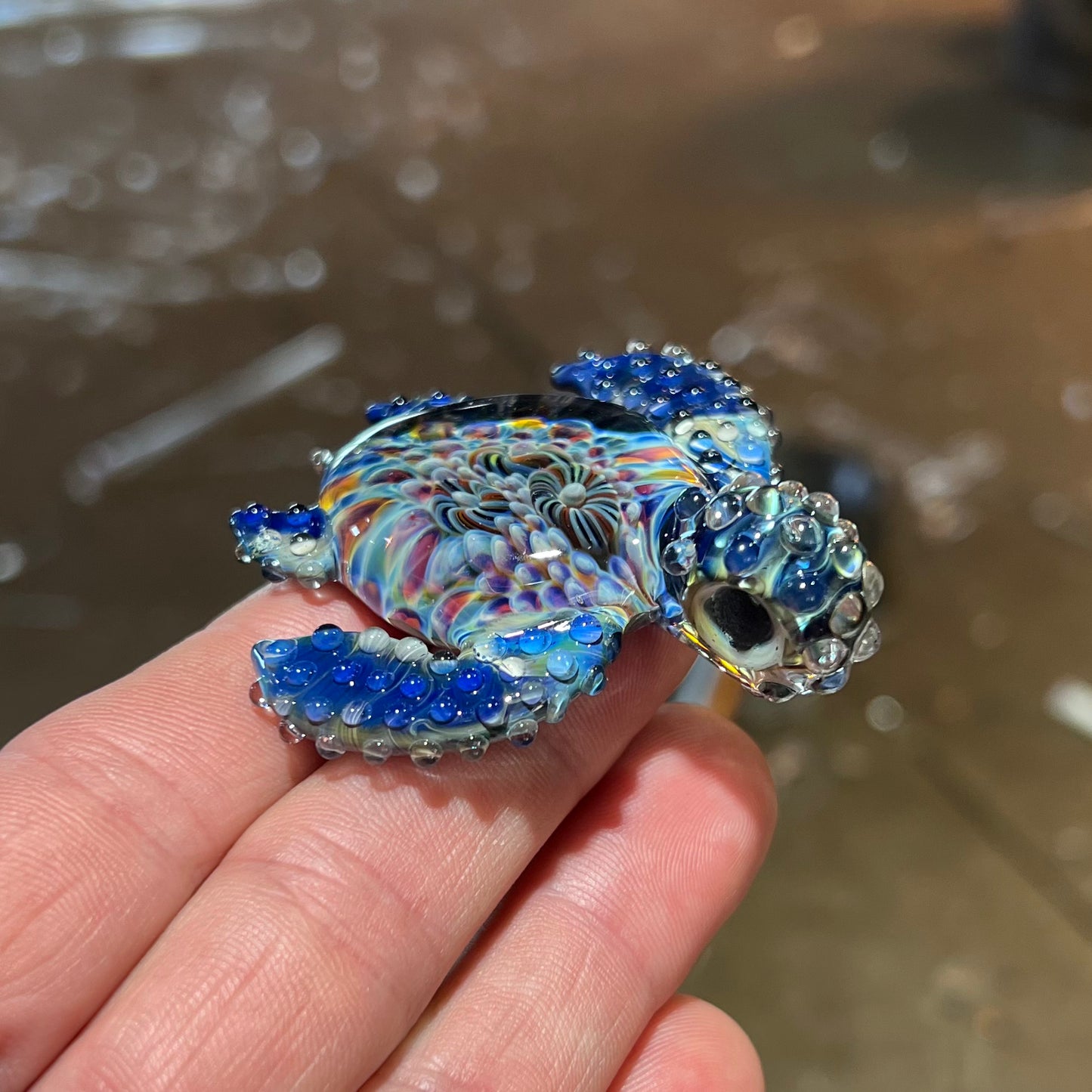 Coral Reef Sea Turtle