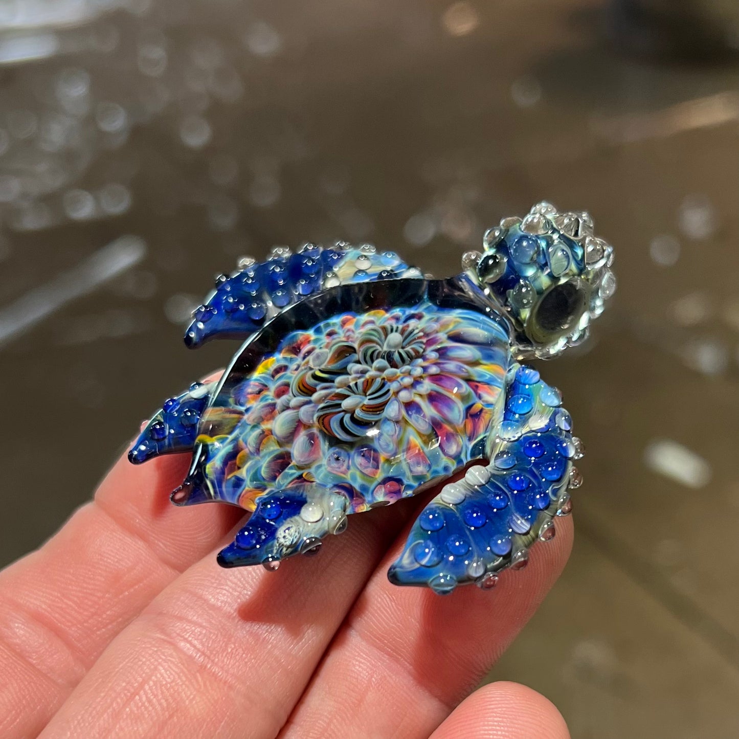 Coral Reef Sea Turtle