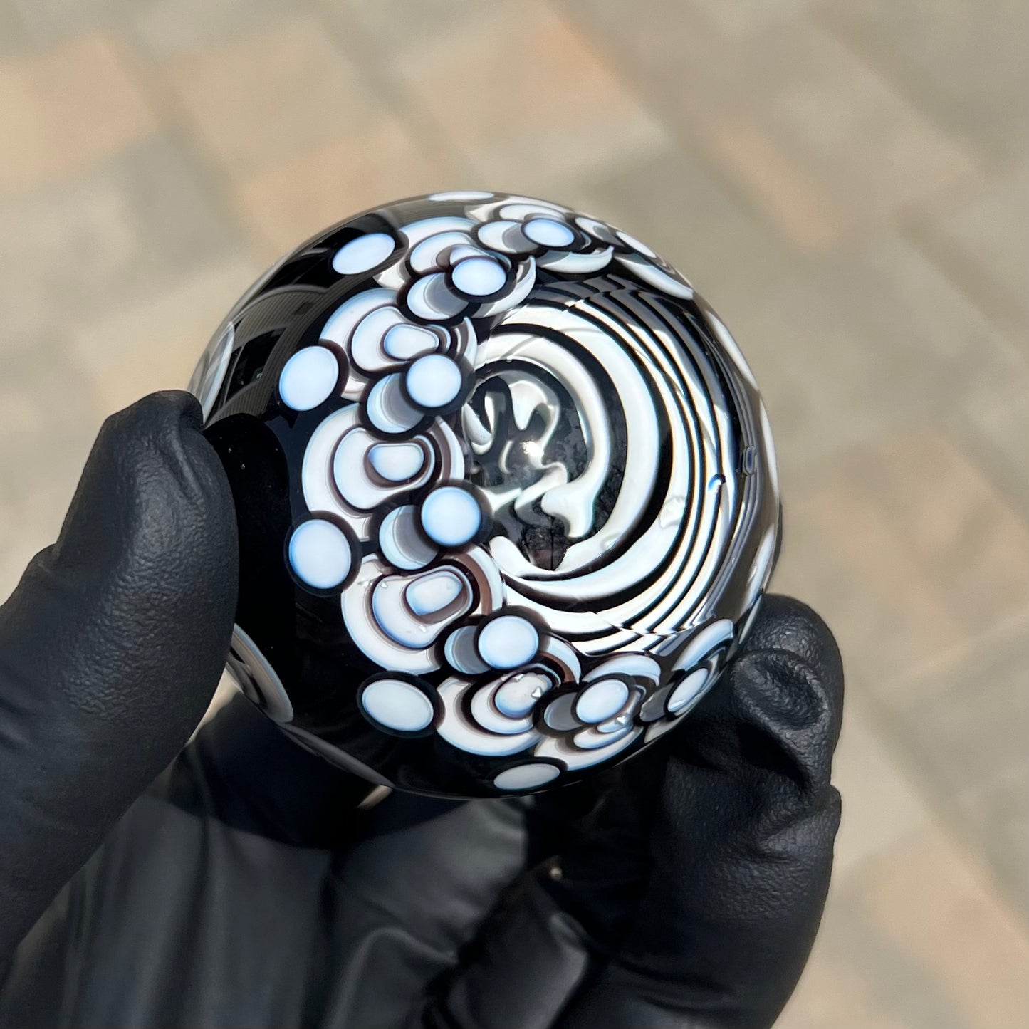 Black and White Opal Eater Cave