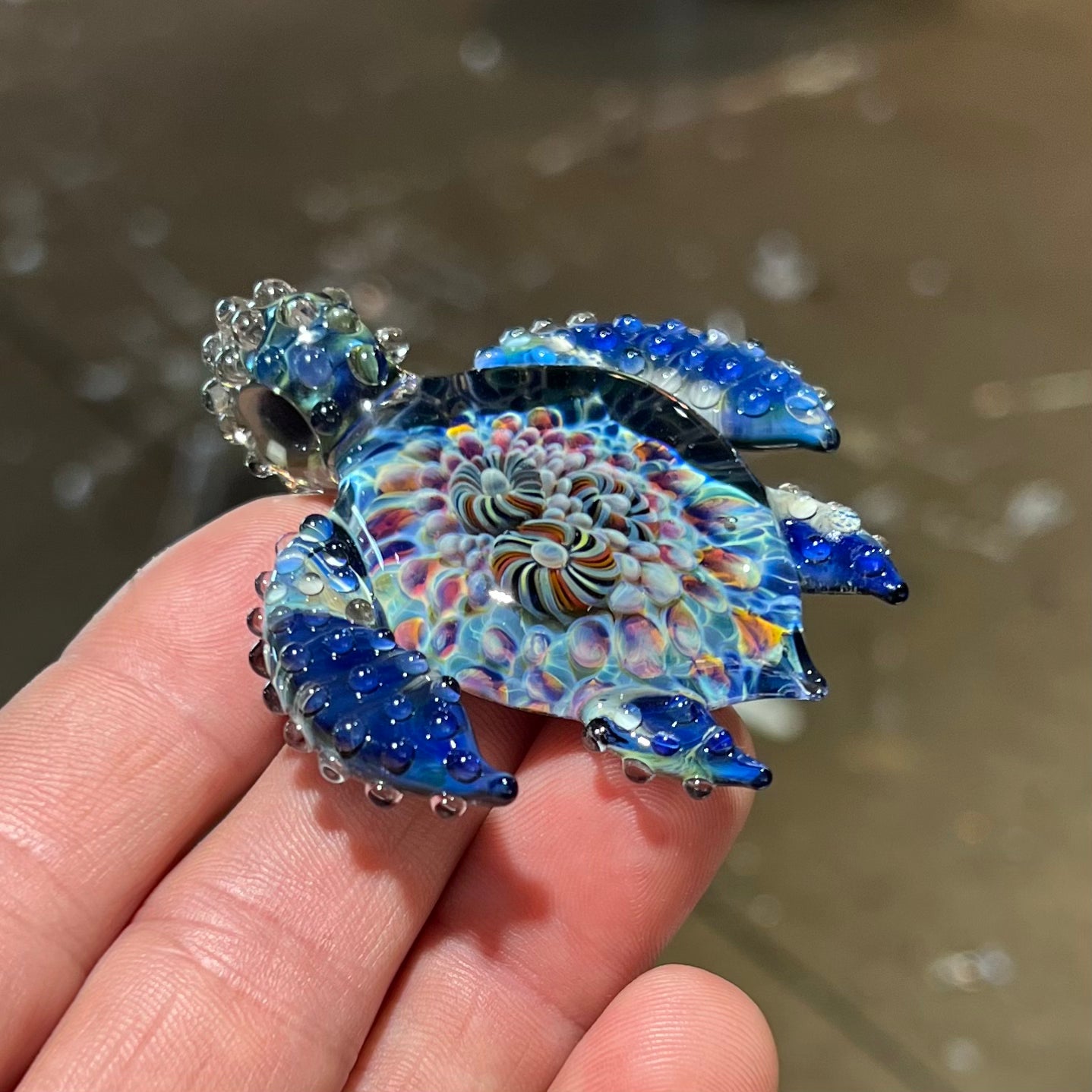 Coral Reef Sea Turtle