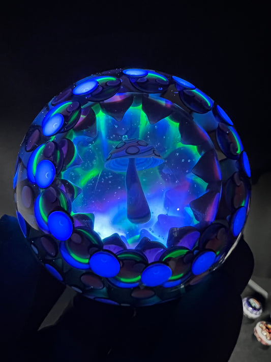 “Enlighten“ Collaboration with Peter Boyle